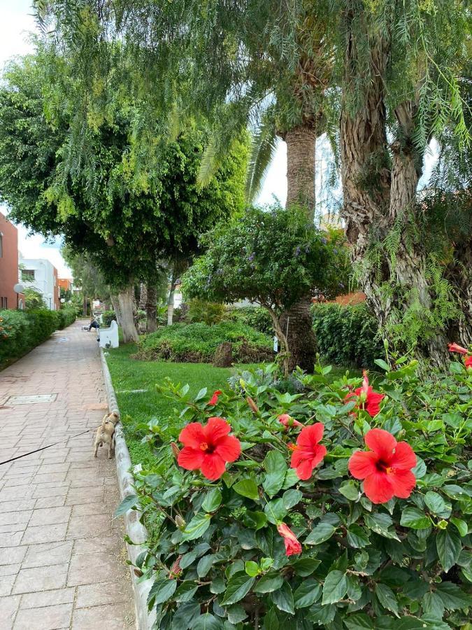 Casa Armonia Del Sol Vila San Bartolomé Exterior foto